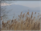 foto Lago di Garda